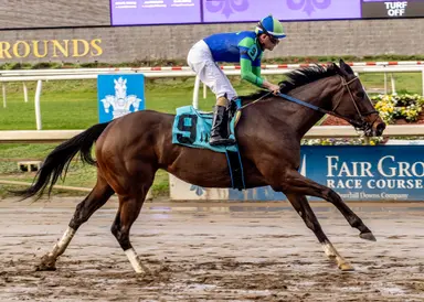 Lotsandlotsofcandy has Mardi Gras Stakes up next