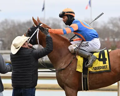 Fair odds for the Pegasus World Cup: Uncovering the right wagering strategy in a complex race