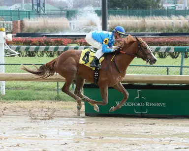 Curlin colt the highest-priced short yearling in Fasig-Tipton winter sale history