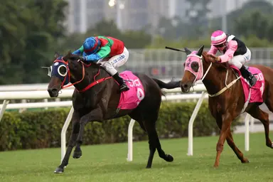 Declan Schuster's Hong Kong Selections and Analysis for Sunday, November 5, 2023