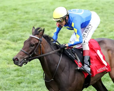 Morley confident More Champagne can handle trip to Royal Ascot
