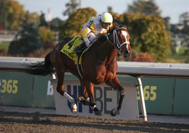 After brilliant 2-year-old campaign, Dixie Law kicks off season in Ruling Angel
