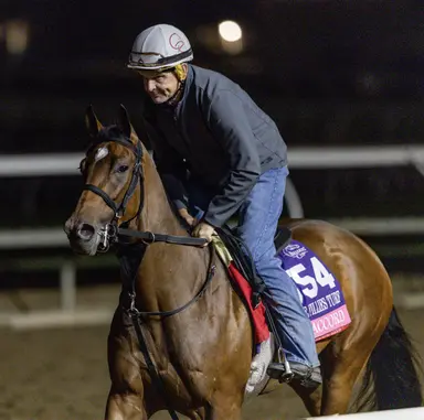 Casse still trying to find Final Accord's best distance in Penn Oaks