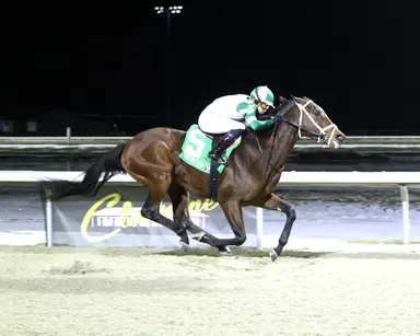 Pair of local stakes winners top overflow field of 13 for Jeff Ruby Steaks