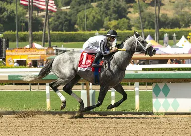 Forged Steel turns in front-running romp in Hollywood Gold Cup