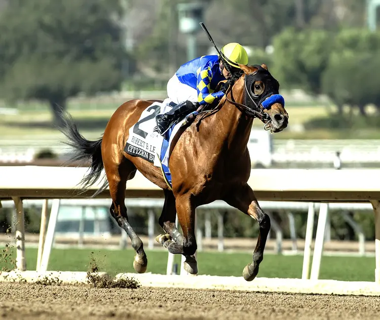 Citizen Bull wins Robert B. Lewis at SA Feb 1 2025