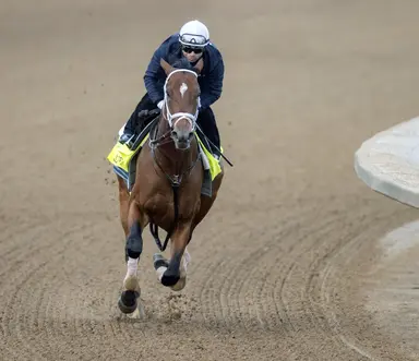 Kentucky Derby 2025: Journalism the mild favorite in early wagering, but price could shorten