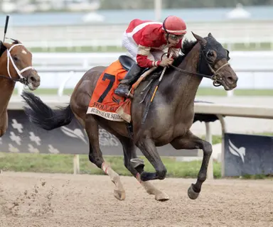 Kentucky Derby pedigree profile: Burnham Square