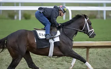 Kentucky Derby: Pletcher, Cox runners put in penultimate drills