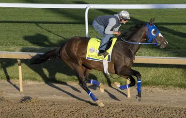 Kentucky Derby Clocker Report: Derma Sotogake, Sun Thunder put in half-mile breezes