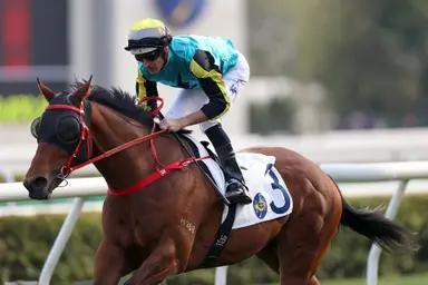 Hugh Bowman retains telling confidence in Raging Blizzard