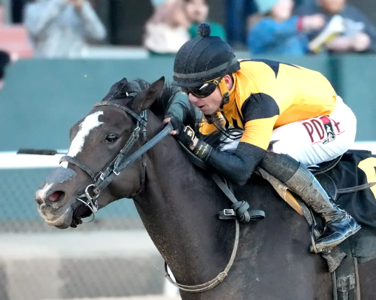 COUNTING STARS - Astral Spa Overnight Stakes - 12-14-25 - R09 - Oaklawn Park - Inside Finish 01 - Shelby Layne Ridgway.jpg