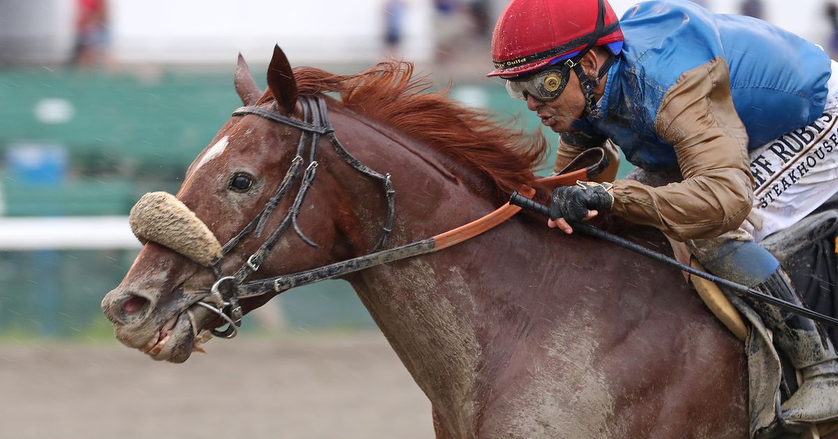 After disappointing effort in Pacific Classic, Mandella will lower sights with Subsanador