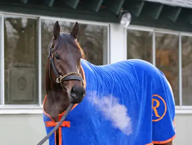 Uncle Mo left his mark on Thoroughbred racing