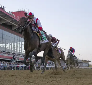 Early Voting gets first mare in foal in restarted stallion career