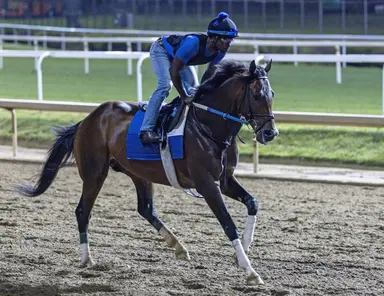 Magnitude likely to join Sovereignty, White Abarrio in Stephen Foster