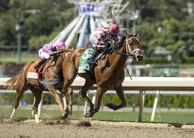 Meaning securely in Kentucky Oaks; Brooklyn Blonde will need some defections