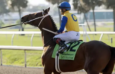 Track Phantom getting accustomed to blinkers