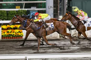 Caspar Fownes, David Hayes fire at Sha Tin’s all-dirt meeting