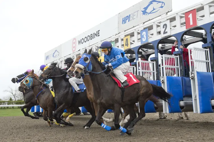 Woodbine scenic02.4.22.23.MB_.jpg