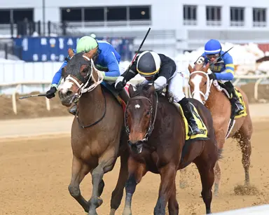Just Katherine wins the bob over Stonewall Star to take Interborough