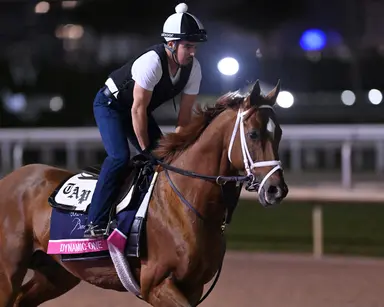 Keeneland April sale once again offers great opportunities