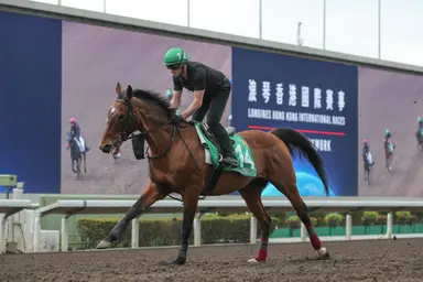 Luke Middlebrook's Hong Kong Selections and Analysis for Sunday, December 8, 2024