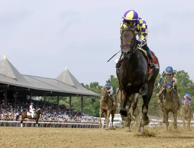 Englishman equals track record with dazzling Woody Stephens romp
