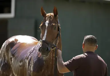 Rich Strike to be moved to Mott for training in the coming days