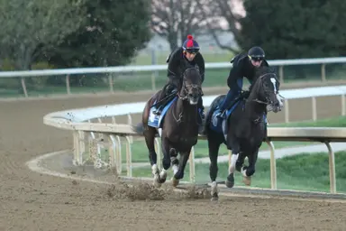 Asmussen, Ortiz back for more with Knock It Off in Lafayette