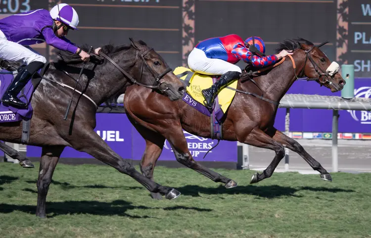 Big Evs hold off Valiant Force to win BC Juvenile Turf Sprint at SA Nov 3 2023