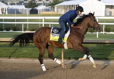 Kentucky Derby: Flame of hope still flickers for bubble horses