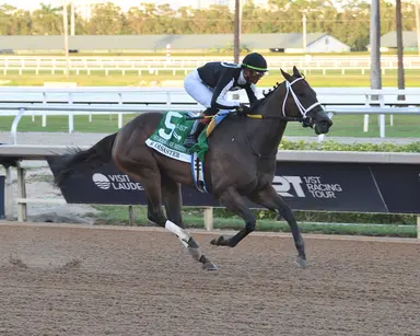 R Disaster shows off top form in taking Hurricane Bertie
