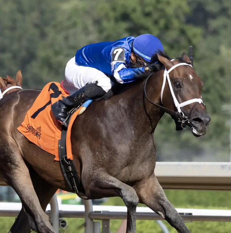 Eclipse Awards immersive
