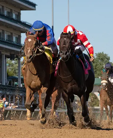 Nysos's dam ends Fasig-Tipton February sale on a high note