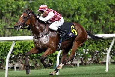 Francis Lui strikes with Happy Valley treble