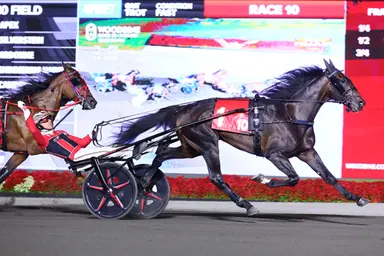 Woodbine Mohawk Park: No eliminations for Canadian Trotting Classic, Shes A Great Lady