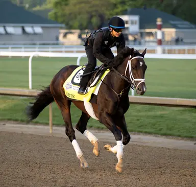 2023 Kentucky Derby: Pletcher trio strong but race could go many ways