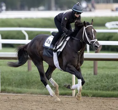 Weekend GamePlan: Picks for Hill Prince, Aqueduct Turf Sprint Championship, Cary Grant