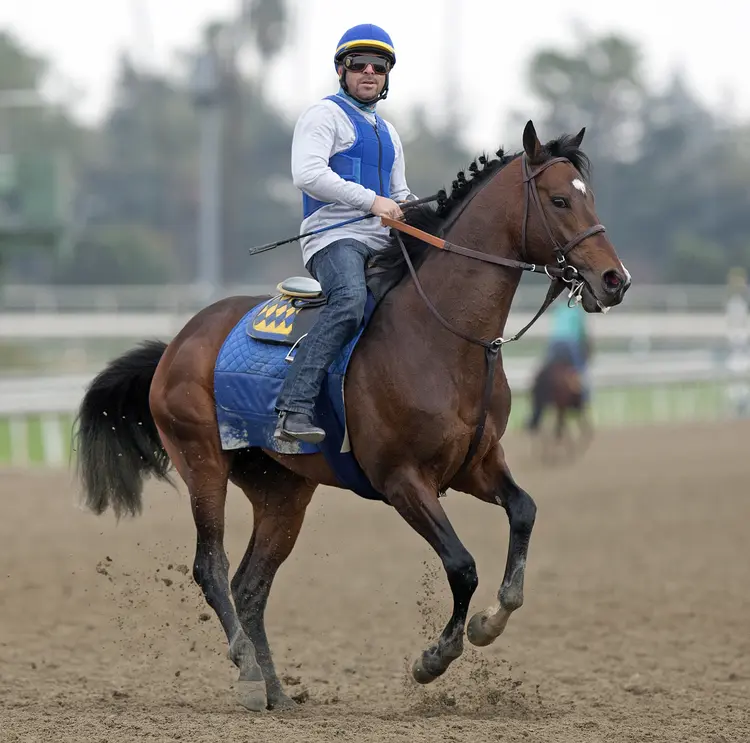 Paynter03.3-4-13.BL_.jpg