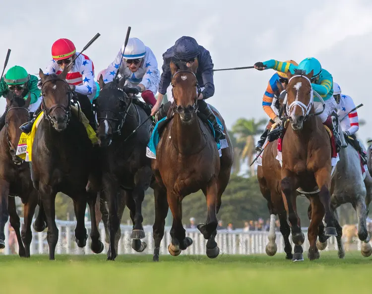 Warm Heart (center) wins Pegasus Turf at GP Jan 27 2024