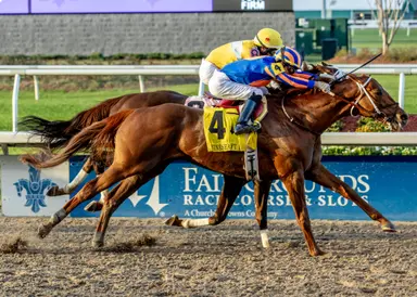 Asmussen readies deep stable for springtime stakes