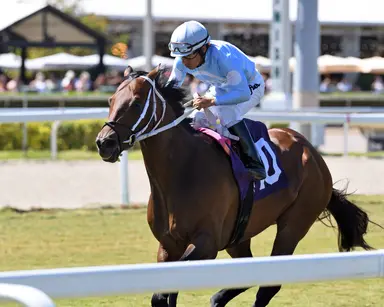 Orseno won't run his pair if turf comes up soft in Thirsty Fish
