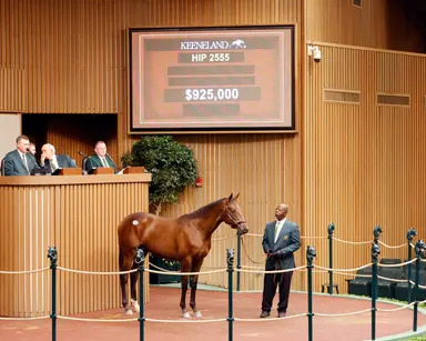Book 4 of Keeneland September closes with a bang: a $925K session topper