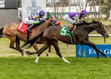 Medoro freshened, working bullets for Sunkissed Stakes