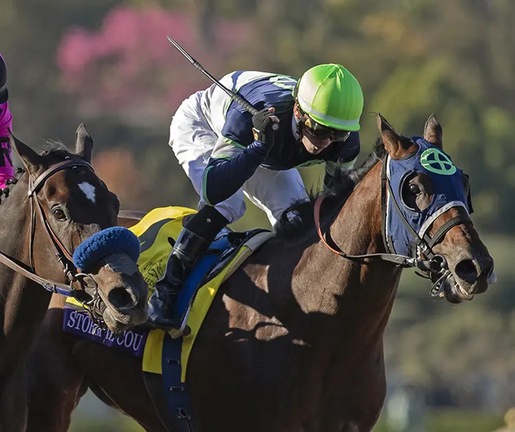 Storm the Court wins the 2019 Breeders Cup Juvenile at Santa Anita