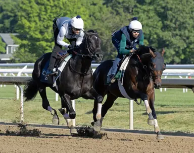 Domestic Product joins sire at Ashford
