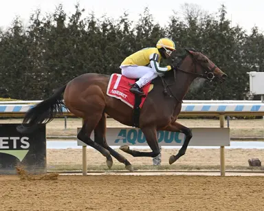 Small Busher field maintains competitive feel