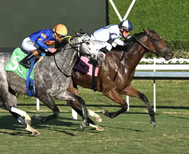 Flamingo Way tries Moon Spun again in Ladies' Turf Sprint
