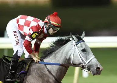 Modo wins Bluebonnet in Lone Star opener, giving LaRose first stakes winner